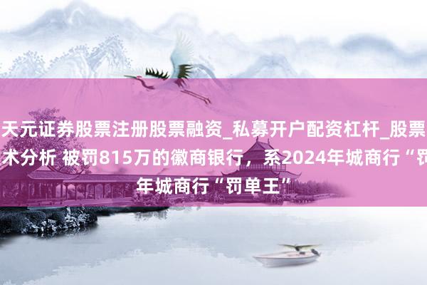 天元证券股票注册股票融资_私募开户配资杠杆_股票个股技术分析 被罚815万的徽商银行，系2024年城商行“罚单王”
