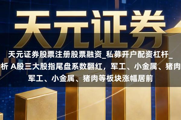 天元证券股票注册股票融资_私募开户配资杠杆_股票个股技术分析 A股三大股指尾盘系数翻红，军工、小金属、猪肉等板块涨幅居前
