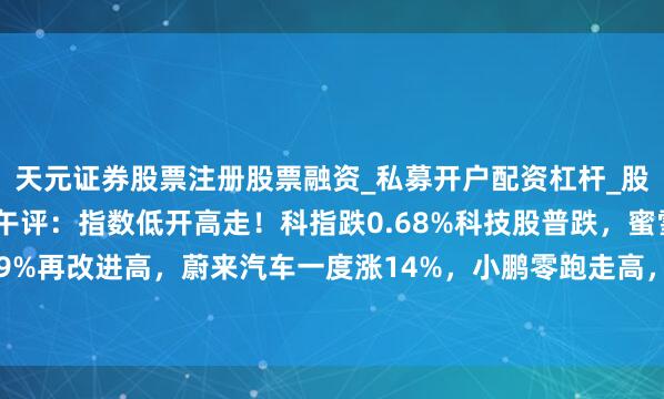 天元证券股票注册股票融资_私募开户配资杠杆_股票个股技术分析 港股午评:指数低开高走!科指跌0.68%科技股普跌,蜜雪集团涨9%再改进高,蔚来汽车一度涨14%,小鹏零跑走高,好意思团京东跌3%,阿里跌2%