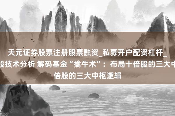 天元证券股票注册股票融资_私募开户配资杠杆_股票个股技术分析 解码基金“擒牛术”:布局十倍股的三大中枢逻辑