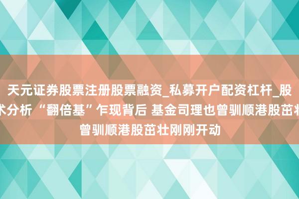 天元证券股票注册股票融资_私募开户配资杠杆_股票个股技术分析 “翻倍基”乍现背后 基金司理也曾驯顺港股茁壮刚刚开动
