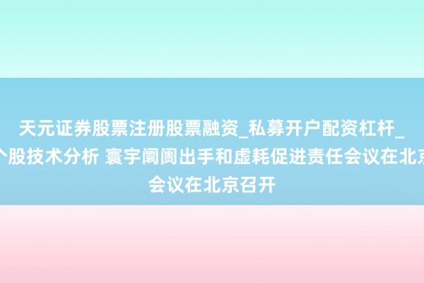 天元证券股票注册股票融资_私募开户配资杠杆_股票个股技术分析 寰宇阛阓出手和虚耗促进责任会议在北京召开